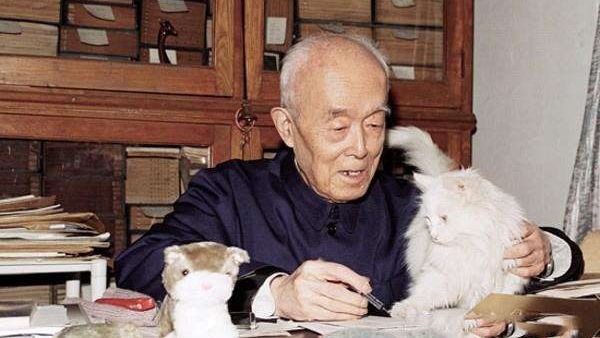 季羡林:老猫
