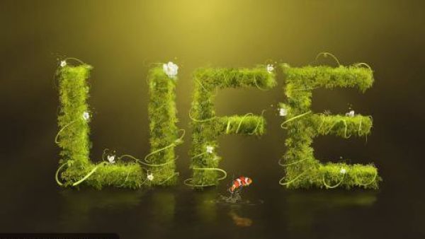 史铁生:轻轻地走与轻轻地来