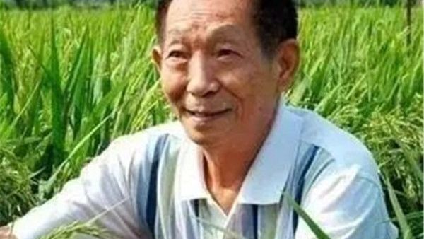 袁隆平：稻子熟了，妈妈，我想您了