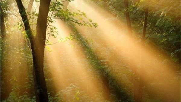 钟岳文:《梦溪笔谈》——中国科学史上的里程碑之作